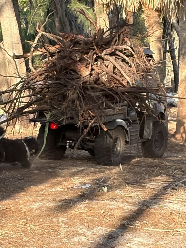 A utility vehicle loaded high with cleared brush